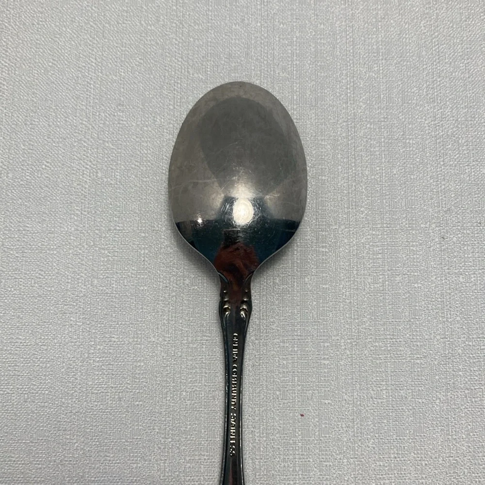 Oneida Community BRAHMS Stainless‎ Glossy Rose Flatware Teaspoon